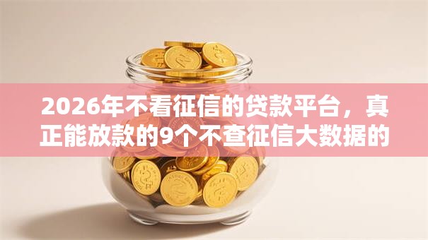 2026年不看征信的贷款平台，真正能放款的9个不查征信大数据的秒下款平台推荐