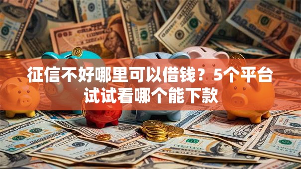 征信不好哪里可以借钱？5个平台试试看哪个能下款