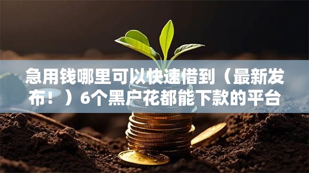 急用钱哪里可以快速借到（最新发布！）6个黑户花都能下款的平台啊