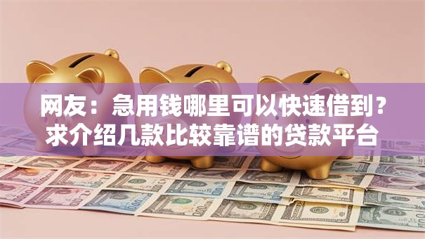 网友：急用钱哪里可以快速借到？求介绍几款比较靠谱的贷款平台
