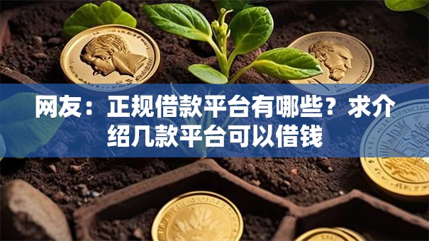网友：正规借款平台有哪些？求介绍几款平台可以借钱