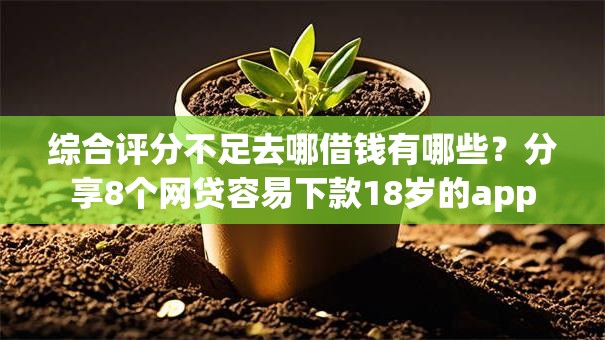 综合评分不足去哪借钱有哪些？分享8个网贷容易下款18岁的app