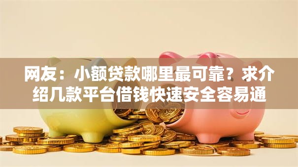 网友：小额贷款哪里最可靠？求介绍几款平台借钱快速安全容易通过