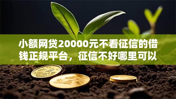 小额网贷20000元不看征信的借钱正规平台，征信不好哪里可以借钱的7个平台介绍