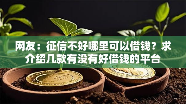 网友：征信不好哪里可以借钱？求介绍几款有没有好借钱的平台