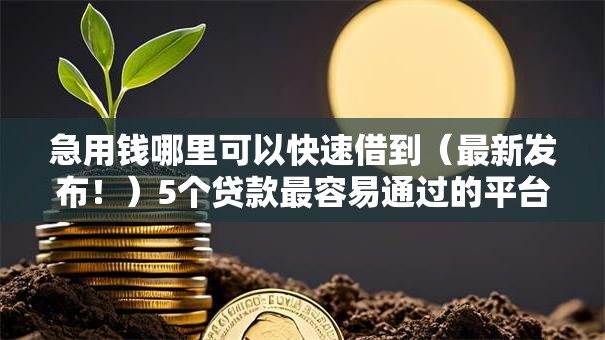 急用钱哪里可以快速借到（最新发布！）5个贷款最容易通过的平台