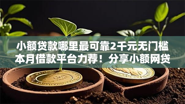 小额贷款哪里最可靠2千元无门槛本月借款平台力荐！分享小额网贷口子2千元无门槛借款