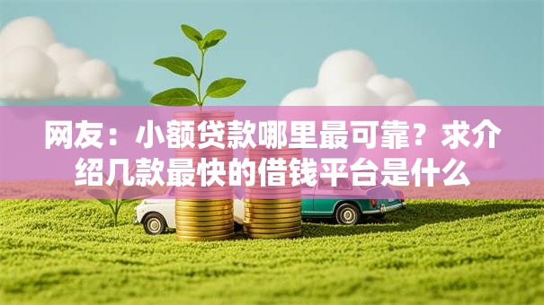 网友：小额贷款哪里最可靠？求介绍几款最快的借钱平台是什么