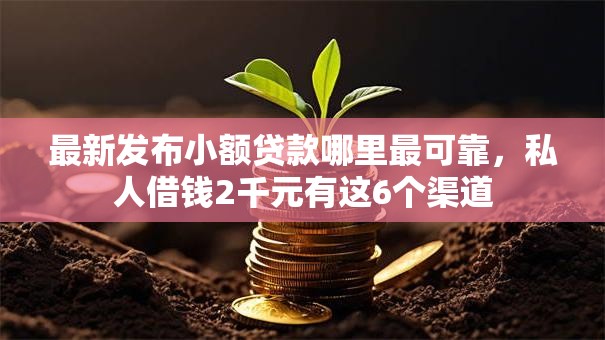最新发布小额贷款哪里最可靠，私人借钱2千元有这6个渠道