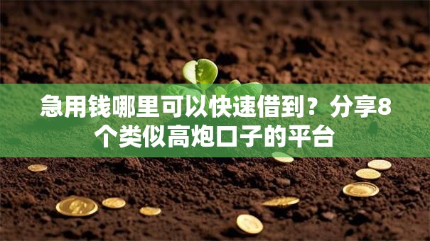 急用钱哪里可以快速借到？分享8个类似高炮口子的平台