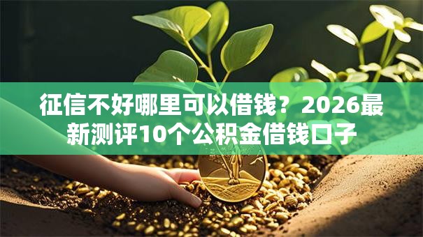 征信不好哪里可以借钱？2026最新测评10个公积金借钱口子