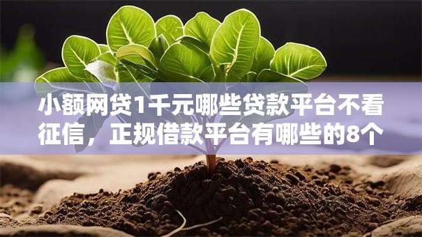 小额网贷1千元哪些贷款平台不看征信，正规借款平台有哪些的8个平台介绍