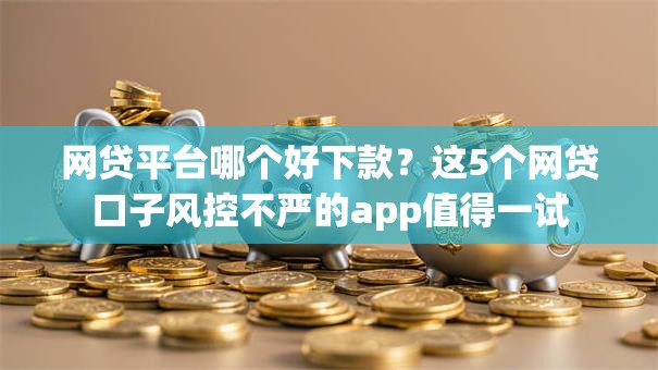 网贷平台哪个好下款?这5个网贷口子风控不严的app值得一试 网贷平台哪个好下款?这5个网贷口子风控不严的app值得一试