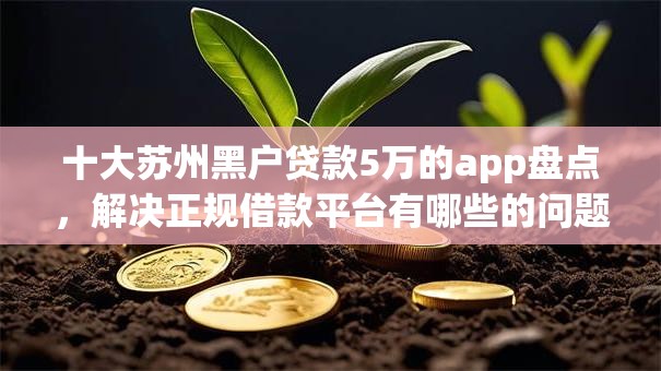 十大苏州黑户贷款5万的app盘点，解决正规借款平台有哪些的问题