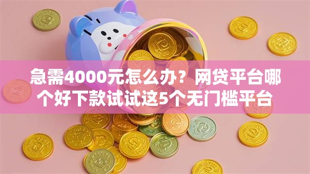 急需4000元怎么办?网贷平台哪个好下款试试这5个无门槛平台 急需4000元怎么办?网贷平台哪个好下款试试这5个无门槛平台