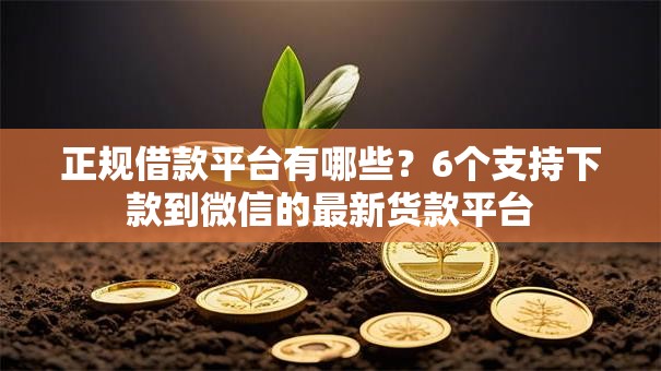 正规借款平台有哪些?6个支持下款到微信的最新货款平台 正规借款平台有哪些?6个支持下款到微信的最新货款平台