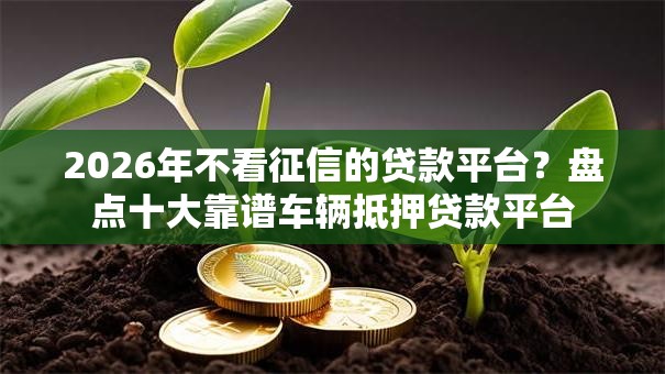 2026年不看征信的贷款平台？盘点十大靠谱车辆抵押贷款平台
