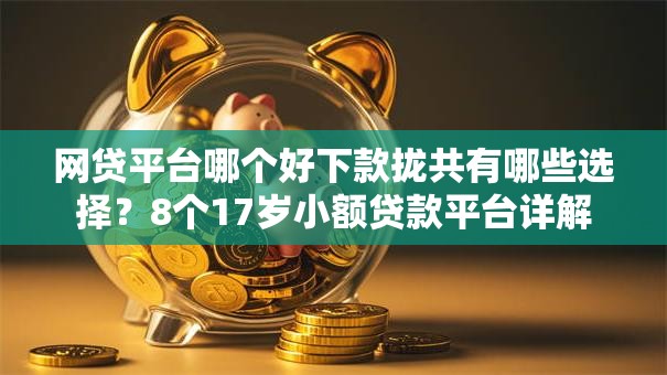 网贷平台哪个好下款拢共有哪些选择？8个17岁小额贷款平台详解