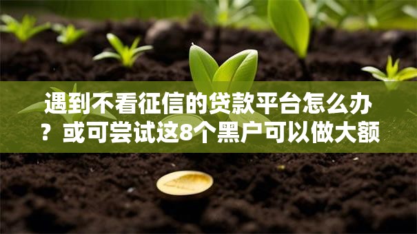 遇到不看征信的贷款平台怎么办?或可尝试这8个黑户可以做大额贷款平台 遇到不看征信的贷款平台怎么办?或可尝试这8个黑户可以做大额贷款平台