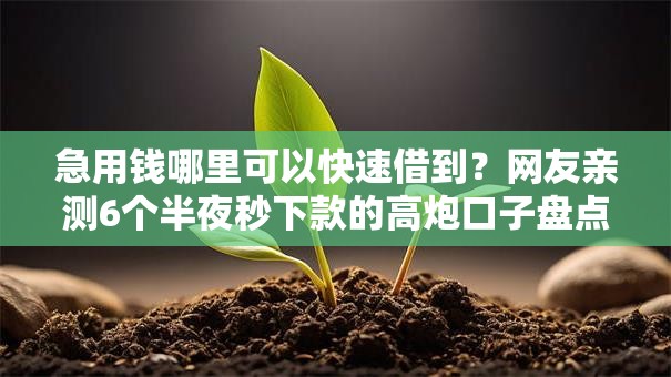 急用钱哪里可以快速借到？网友亲测6个半夜秒下款的高炮口子盘点