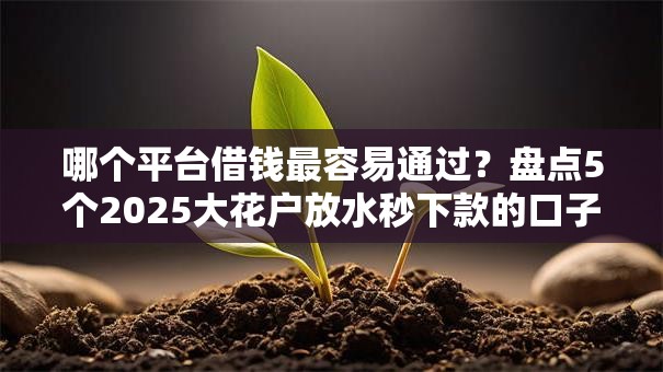 哪个平台借钱最容易通过?盘点5个2025大花户放水秒下款的口子给你参考 哪个平台借钱最容易通过?盘点5个2025大花户放水秒下款的口子给你参考