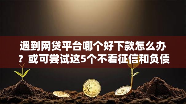 遇到网贷平台哪个好下款怎么办？或可尝试这5个不看征信和负债的贷款平台