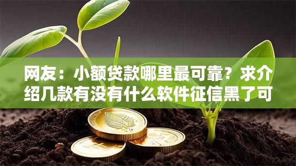 网友：小额贷款哪里最可靠？求介绍几款有没有什么软件征信黑了可以贷款