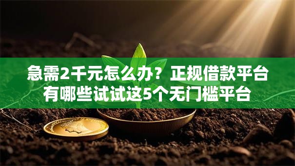 急需2千元怎么办?正规借款平台有哪些试试这5个无门槛平台 急需2千元怎么办?正规借款平台有哪些试试这5个无门槛平台