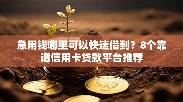 急用钱哪里可以快速借到？8个靠谱信用卡贷款平台推荐