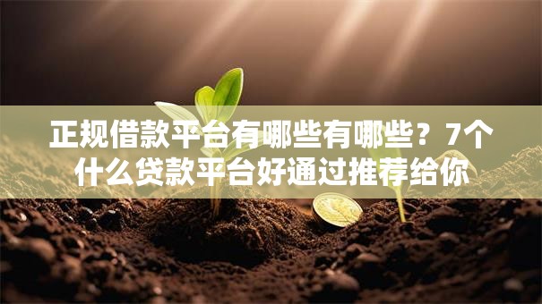 正规借款平台有哪些有哪些？7个什么贷款平台好通过推荐给你