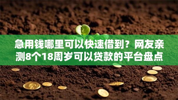 急用钱哪里可以快速借到？网友亲测8个18周岁可以贷款的平台盘点