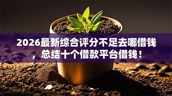 2026最新综合评分不足去哪借钱，总结十个借款平台借钱！