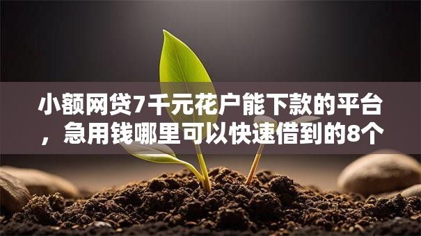 小额网贷7千元花户能下款的平台，急用钱哪里可以快速借到的8个平台介绍