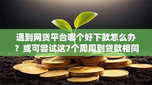 遇到网贷平台哪个好下款怎么办？或可尝试这7个周周到贷款相同系列的app