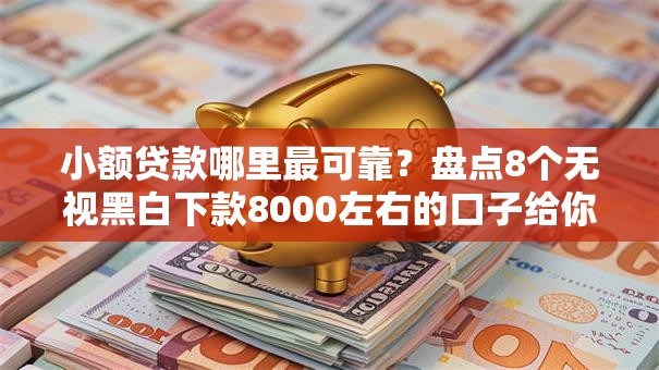 小额贷款哪里最可靠？盘点8个无视黑白下款8000左右的口子给你参考
