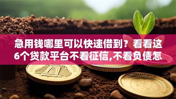 急用钱哪里可以快速借到？看看这6个贷款平台不看征信,不看负债怎么样