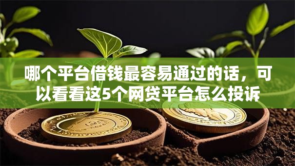 哪个平台借钱最容易通过的话，可以看看这5个网贷平台怎么投诉