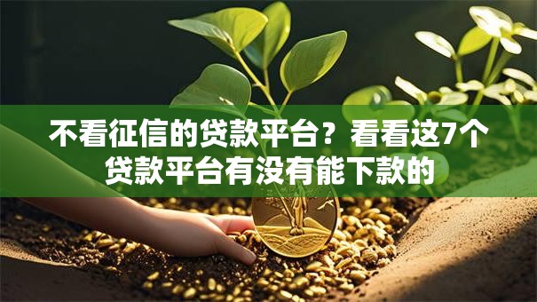 不看征信的贷款平台？看看这7个贷款平台有没有能下款的