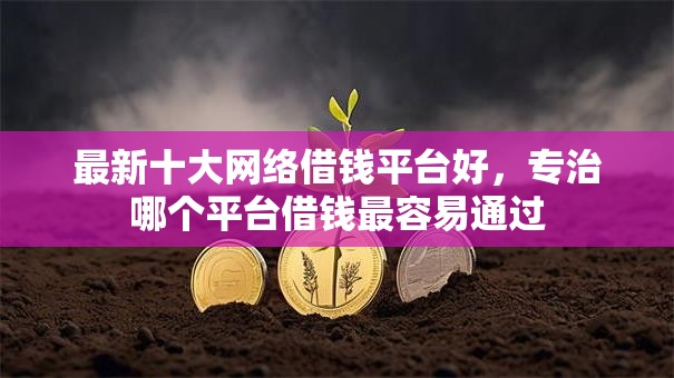最新十大网络借钱平台好，专治哪个平台借钱最容易通过