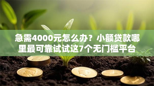 急需4000元怎么办？小额贷款哪里最可靠试试这7个无门槛平台