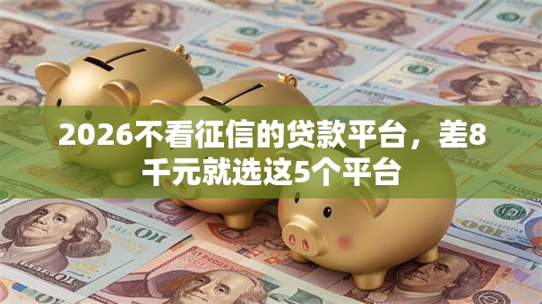 2026不看征信的贷款平台，差8千元就选这5个平台