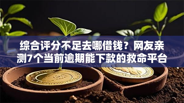 综合评分不足去哪借钱？网友亲测7个当前逾期能下款的救命平台盘点