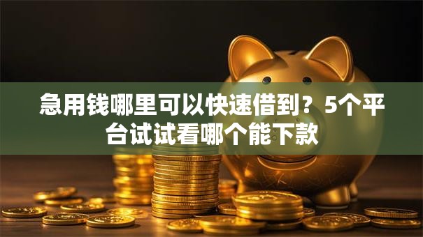 急用钱哪里可以快速借到？5个平台试试看哪个能下款