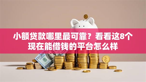小额贷款哪里最可靠？看看这8个现在能借钱的平台怎么样
