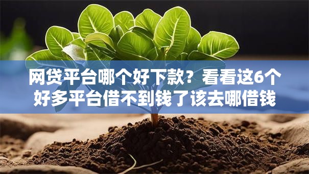 网贷平台哪个好下款？看看这6个好多平台借不到钱了该去哪借钱怎么样