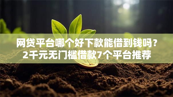 网贷平台哪个好下款能借到钱吗?2千元无门槛借款7个平台推荐 网贷平台哪个好下款能借到钱吗?2千元无门槛借款7个平台推荐