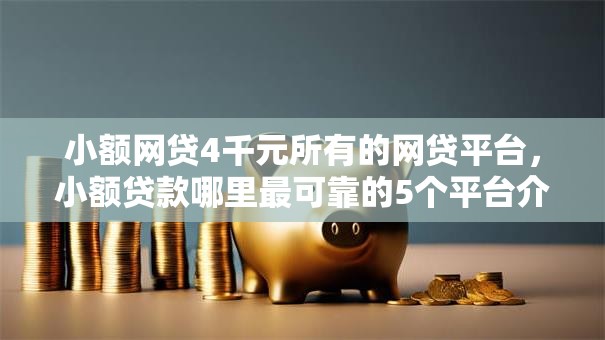 小额网贷4千元所有的网贷平台，小额贷款哪里最可靠的5个平台介绍