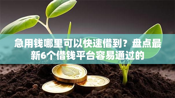 急用钱哪里可以快速借到？盘点最新6个借钱平台容易通过的