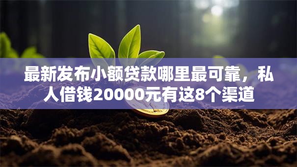 最新发布小额贷款哪里最可靠，私人借钱20000元有这8个渠道