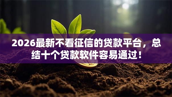 2026最新不看征信的贷款平台，总结十个贷款软件容易通过！